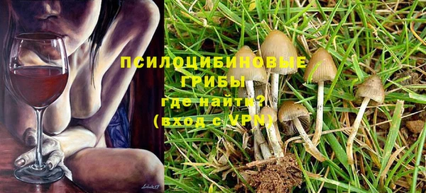 apvp Армянск