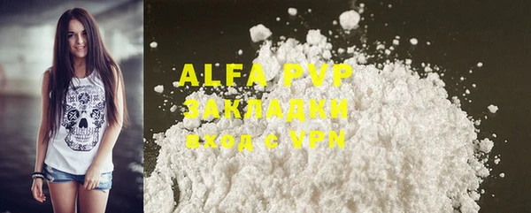 стафф Аркадак