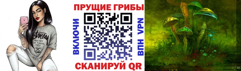 Купить  Туапсе  Псилоцибиновые грибы Psilocybine cubensis 