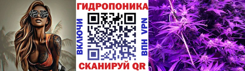 Купить где  Туапсе  Конопля VHQ 